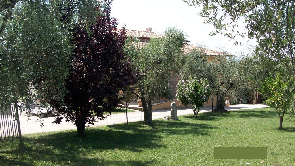Il Giardino Degli Ulivi Panzió Canneto  Kültér fotó