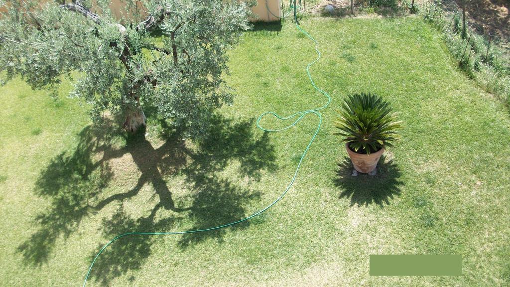 Il Giardino Degli Ulivi Panzió Canneto  Kültér fotó
