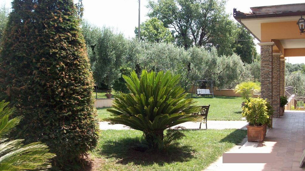 Il Giardino Degli Ulivi Panzió Canneto  Kültér fotó